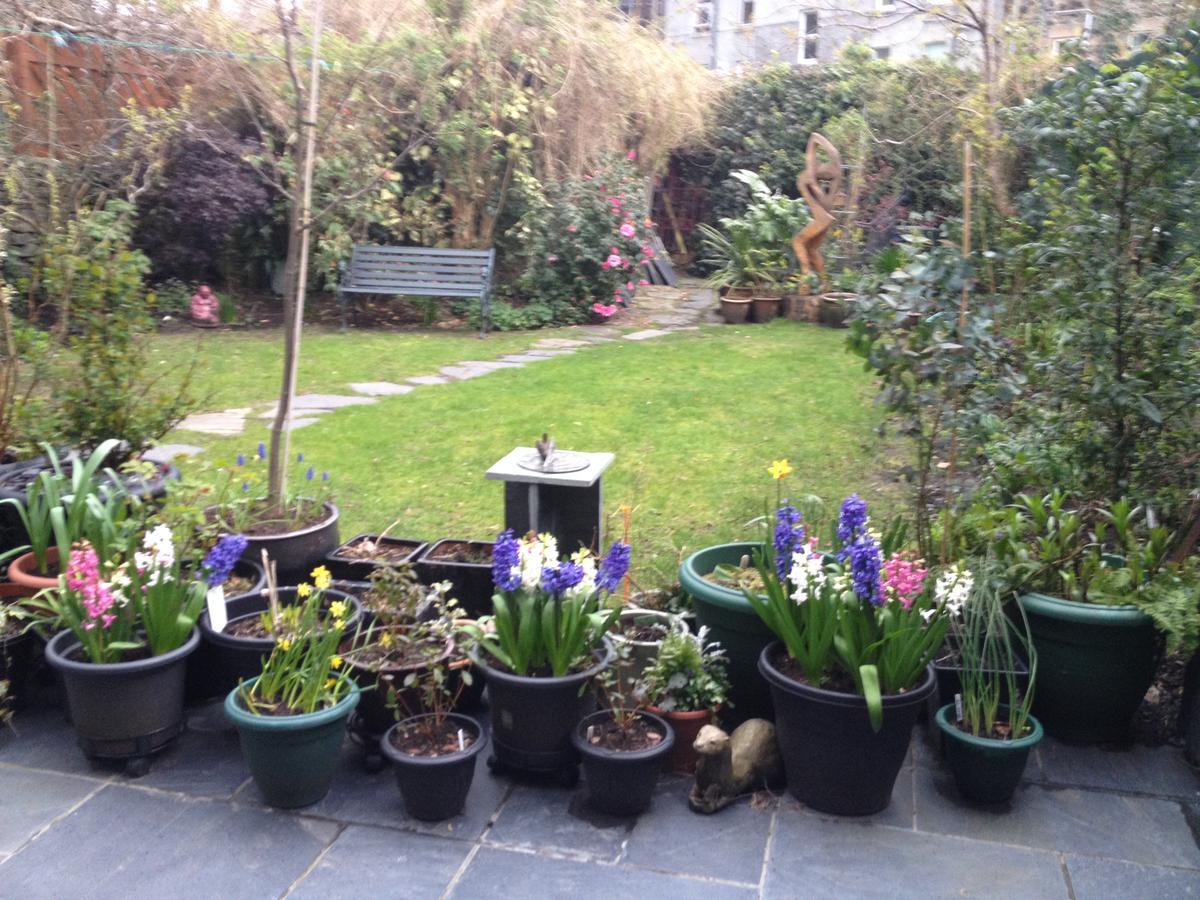 Dana Villa Holiday Accommodation Oban Luaran gambar